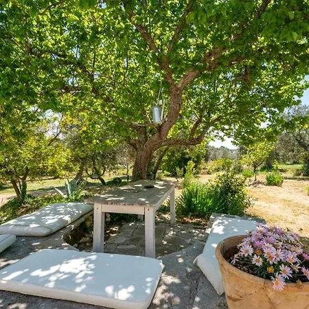 Trullo With Pool And Garden Between Ostuni And Ceglie Villa Cisternino